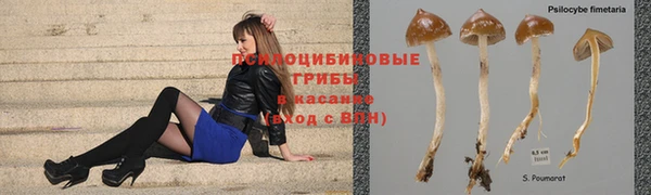 прущая мука Абдулино
