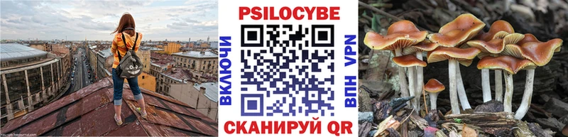 Псилоцибиновые грибы Magic Shrooms  Никольск 